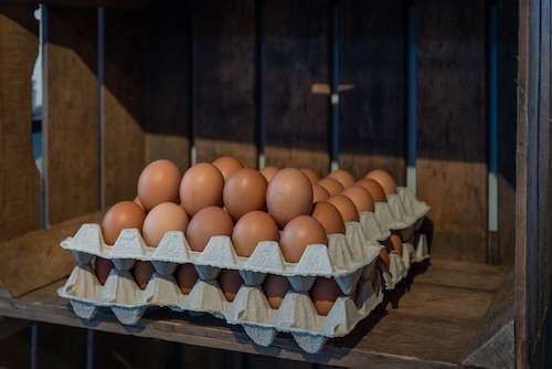 Eieren van de boer Tilburg