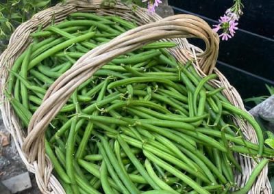 Sperziebonen van de boer