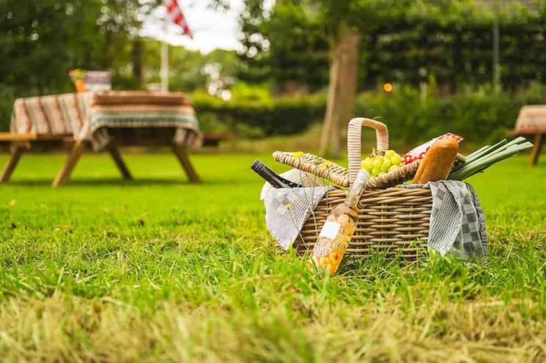 Theetuin Picknick weide Oisterwijk Tilburg Brabant