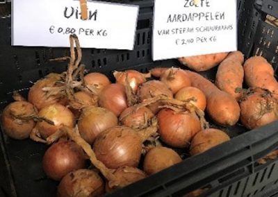 Uien groenten van de boer Tilburg Oisterwijk