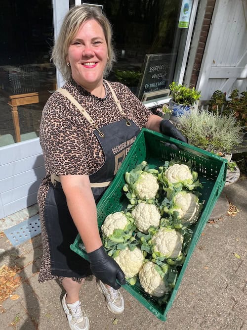 Verse bloemkool van de boer